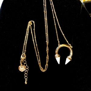 WHBM howlite horn stone necklace.